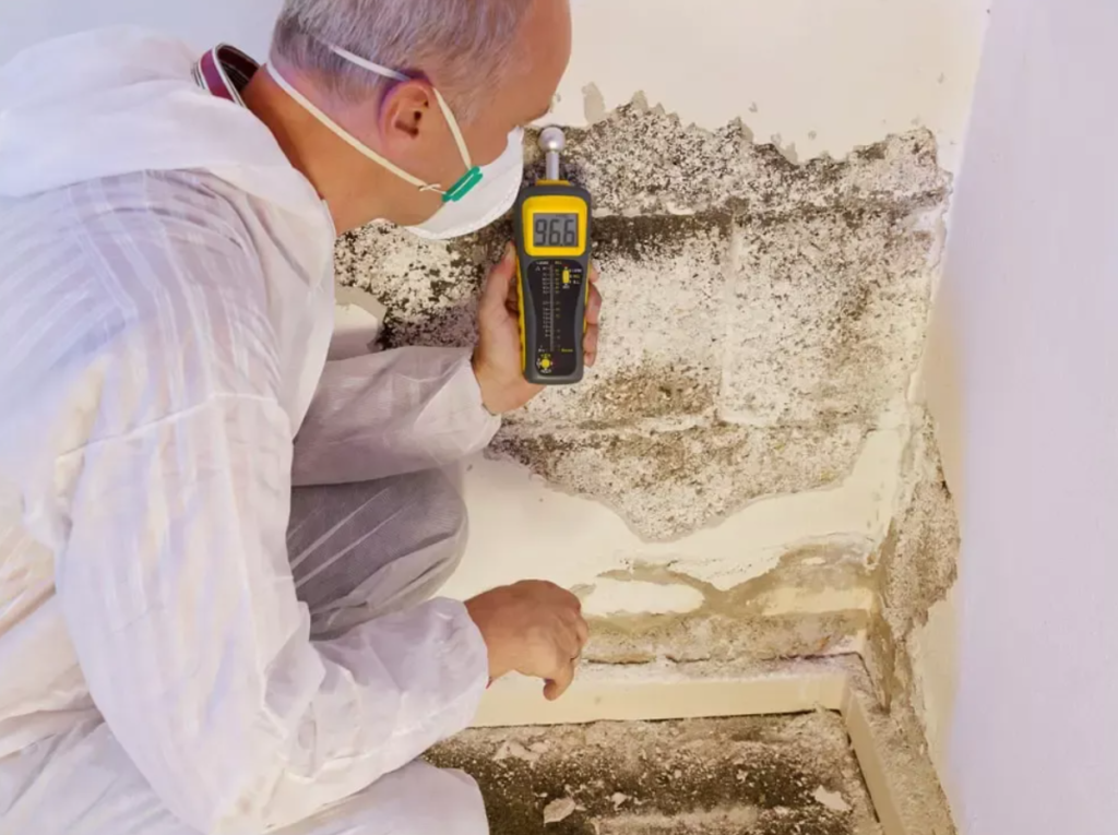 When Should You Schedule a Professional Water Damage Inspection?