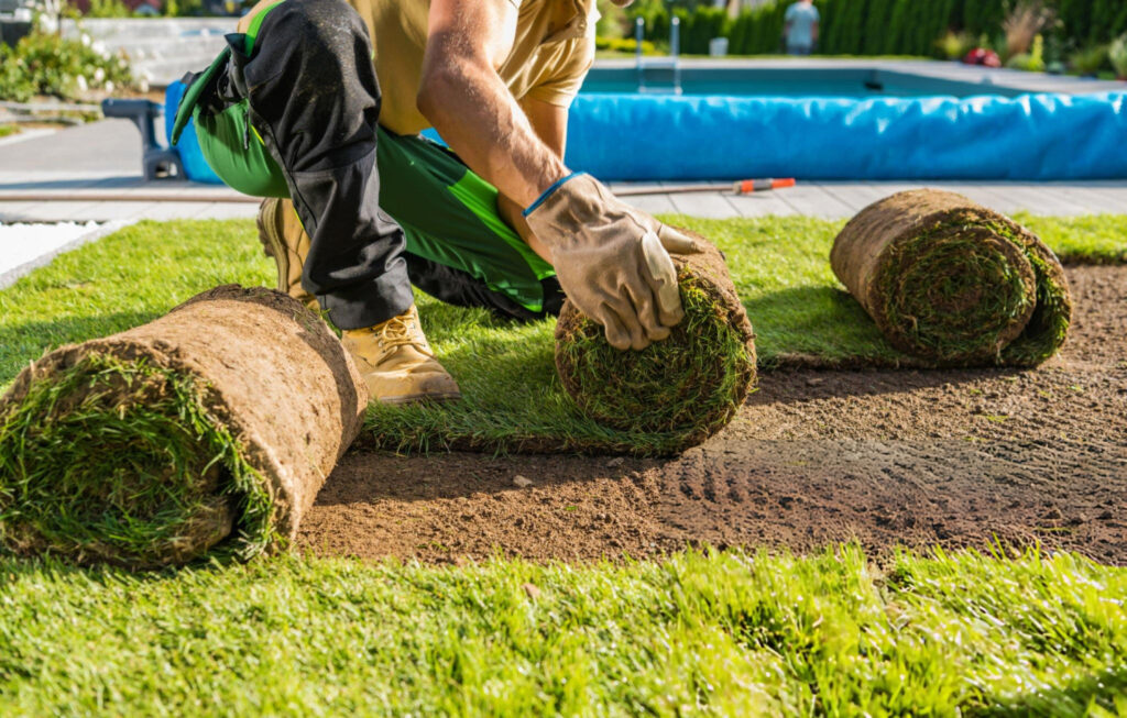 Best Sod Installation Services Near Me for Your Dream Lawn