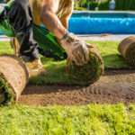 Best Sod Installation Services Near Me for Your Dream Lawn