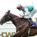 Understanding Horse Racing Culture and the Legacy of RWITC Pune