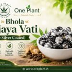 Looking for a Traditional Ayurvedic Wellness Solution? Try One Plant Vijaya Vati Bhang Goli