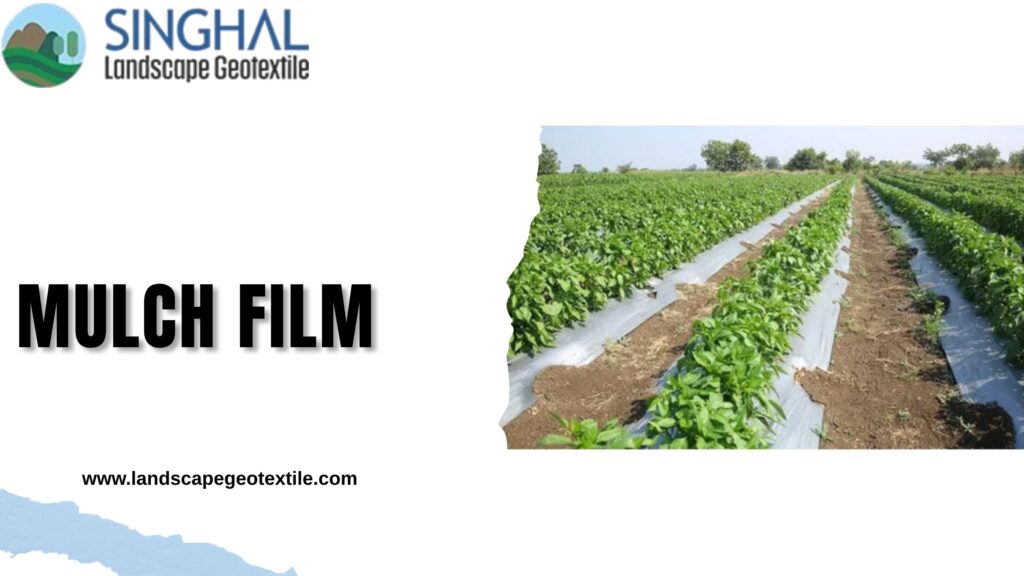 High Performance Mulch Film For Productive Farming Outcomes