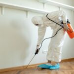 Protecting Your Property with Safe and Effective Pest Management Practices
