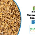 Dhanawel Hybrid Seeds IPO : GMP, Dates, Price Band, and Complete Details