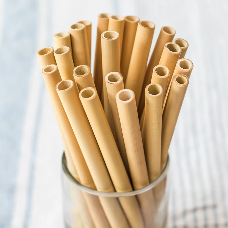 Bamboo Straws – Eco Friendly Reusable Alternative to Plastic Straws