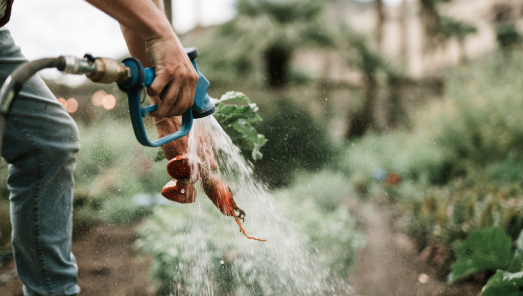 Why Professional House Washing Is Important for Every Property Owner