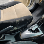 How Professional Auto Detailers Remove Mold From Car Seats, Carpets, and Headliners?