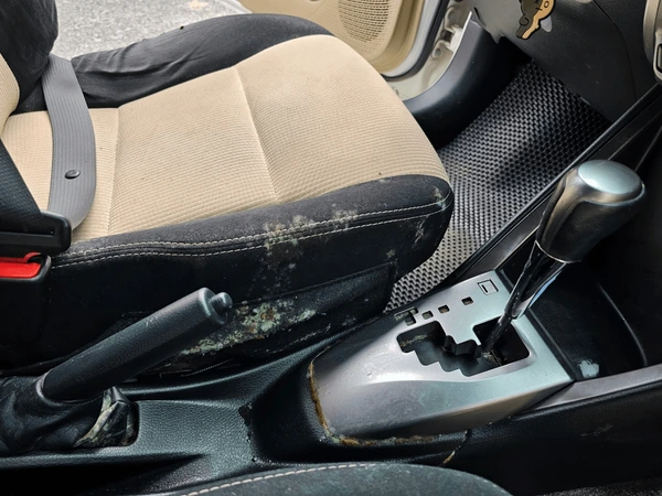 How Professional Auto Detailers Remove Mold From Car Seats, Carpets, and Headliners?
