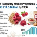 Freeze Dried Raspberry Market to Reach USD 214.3 Million by 2036