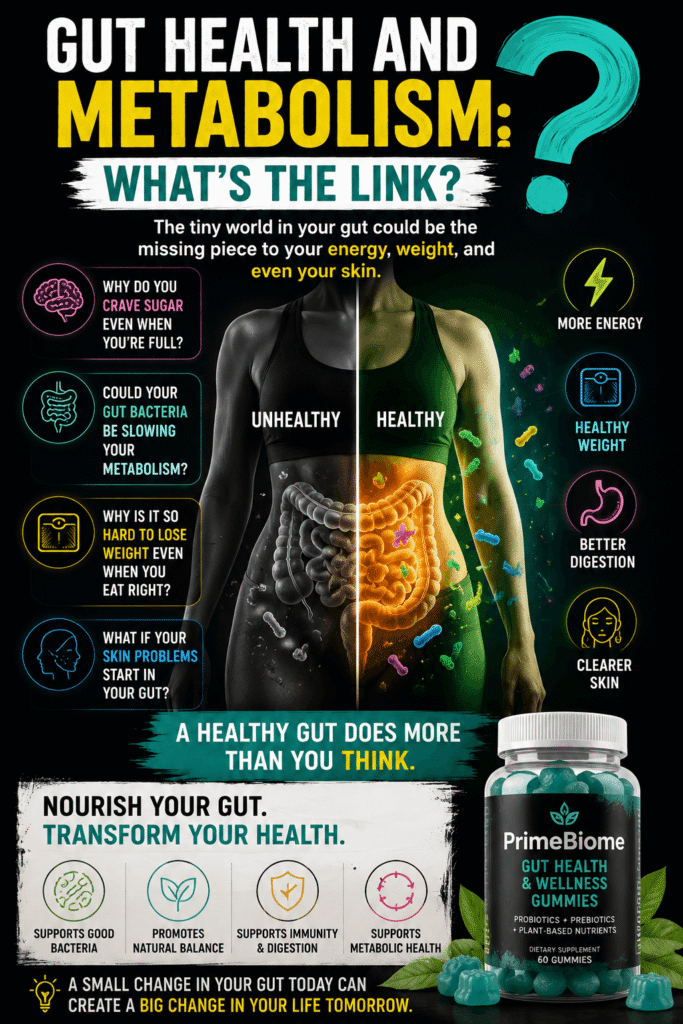 Gut Health and Metabolism: What’s the Link?