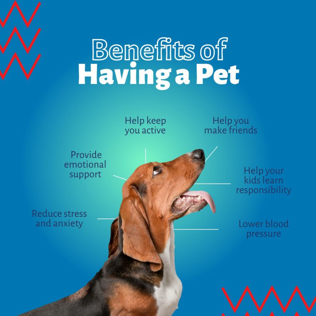 Ultimate Guide: Amazing Benefits of Having a Dog in the USA