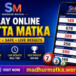 Nagaur, Ahmedabad, Navi Mumbai & Hyderabad Matka: A Complete Guide to Historical Results and Market Information