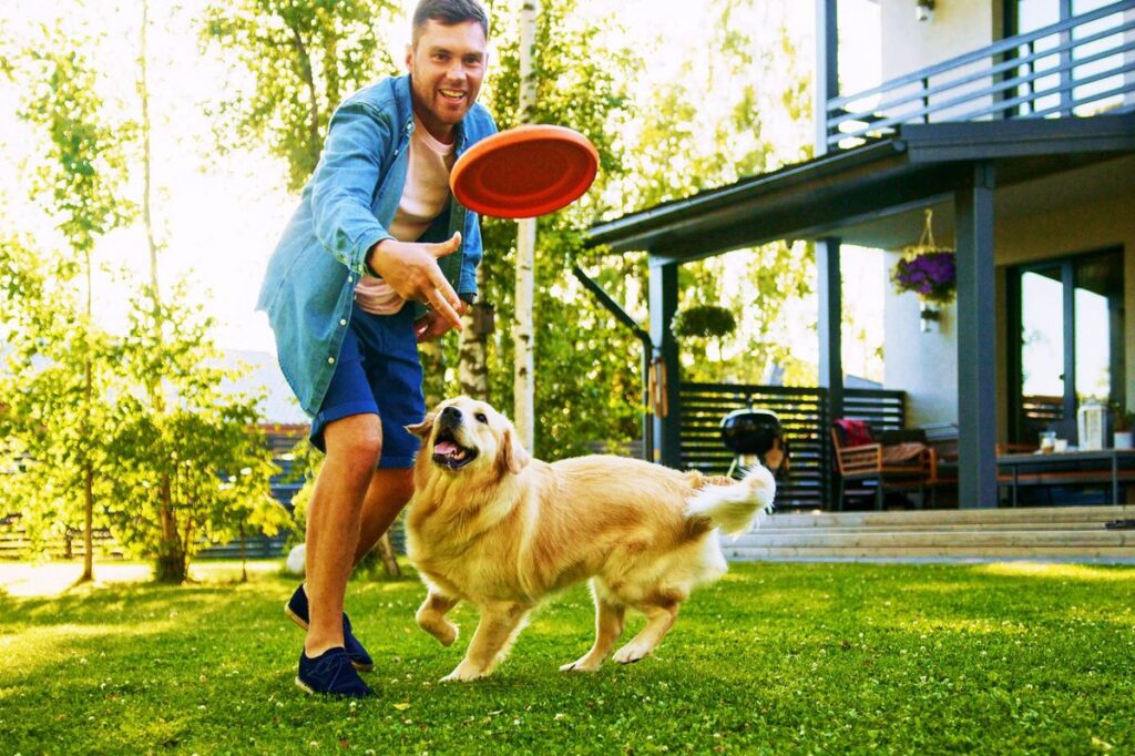 Fun Tricks for Dogs Every Pet Owner Should Try Today