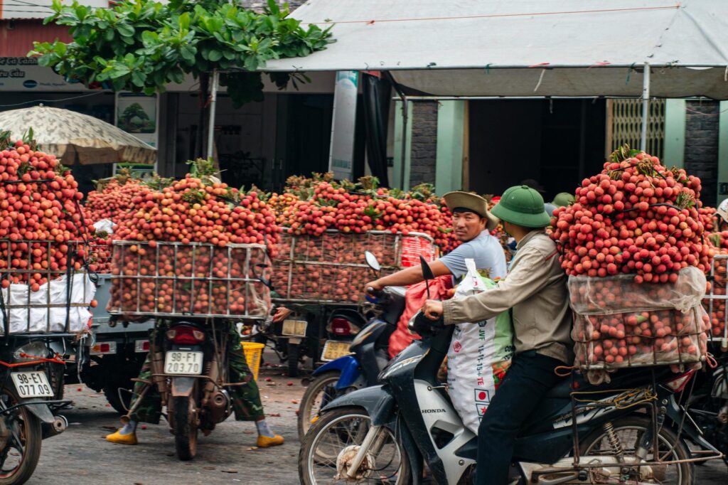 7 Days Phu Quoc Tour Package: The Ultimate Island Guide