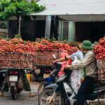 7 Days Phu Quoc Tour Package: The Ultimate Island Guide