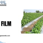 Mulch Film Designed for Productive Farming and Gardening