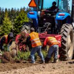 What Agricultural Labor Management Services Include