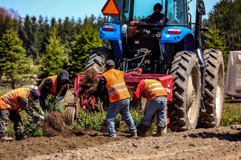 What Agricultural Labor Management Services Include