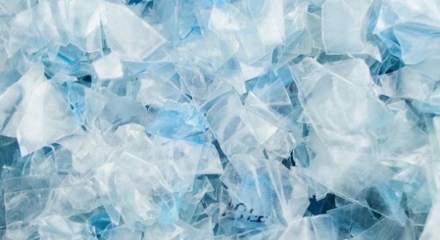 rPET Price Trend: Understanding the Market Movement in Q1 2026