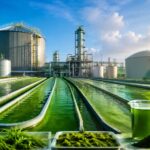 Algae-Based Biofuel Production Plant DPR 2026: Business Model, Investment Opportunities, and Payback Analysis