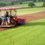 Turf and Soil Solutions for Healthier Lawns and Outdoor Spaces