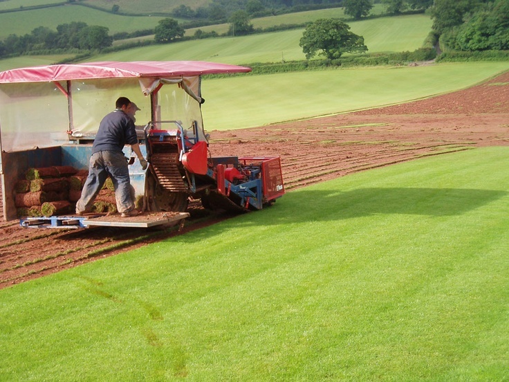 Turf and Soil Solutions for Healthier Lawns and Outdoor Spaces