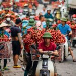 7 Days Phu Quoc Tour Package: Island Guide
