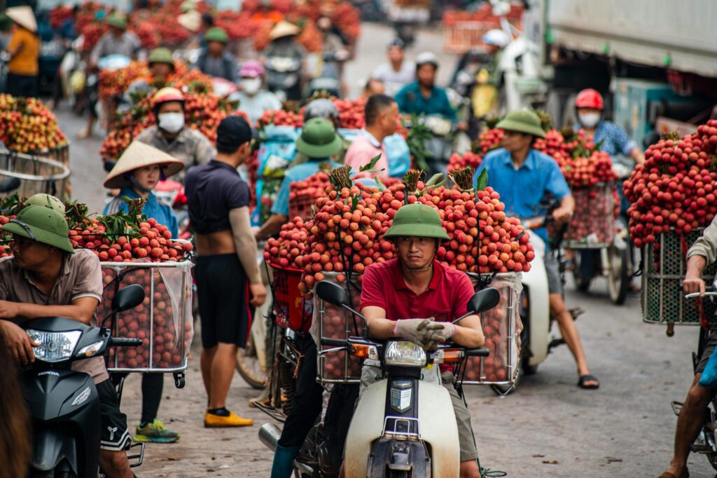 7 Days Phu Quoc Tour Package: Island Guides