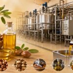 Argan Oil Processing Plant Cost in 2026: CapEx, OpEx and ROI Insights