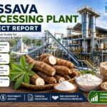 Cassava Processing Plant Project Report 2026: Setup Cost, Machinery, and Raw Materials Requirements