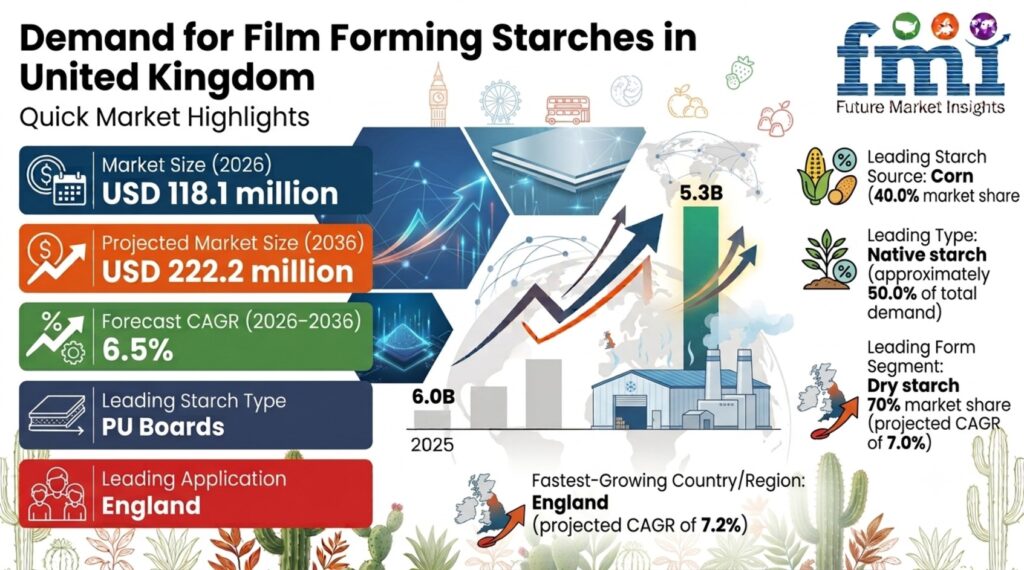 United Kingdom’s Film Forming Starches Market Set for Steady Growth as Clean-Label Manufacturing