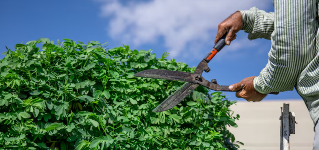 Agricultural Water Treatment in Alberta: Why Clean Water Is Becoming a Farm Advantage