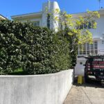 Keep Your Melbourne Property Pest-Free with Professional Prevention and Control