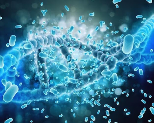 Lactobacillus Rhamnosus Manufacturers: Delivering Premium Probiotic Solutions for Global Healthcare