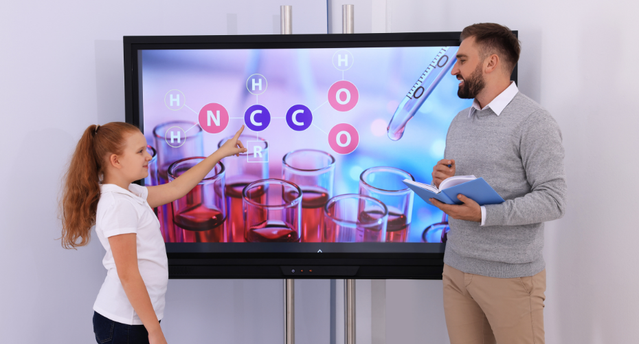 Interactive Displays for Business: Everything You Need to Know