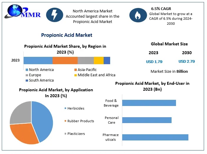 Propionic Acid Industry Report 2030: Market Expansion Backed by Preservative Applications and Agricultural Growth