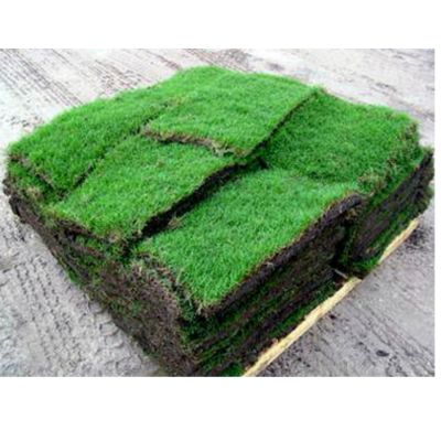 A Buyer’s Guide for Landscapers and Homeowners
