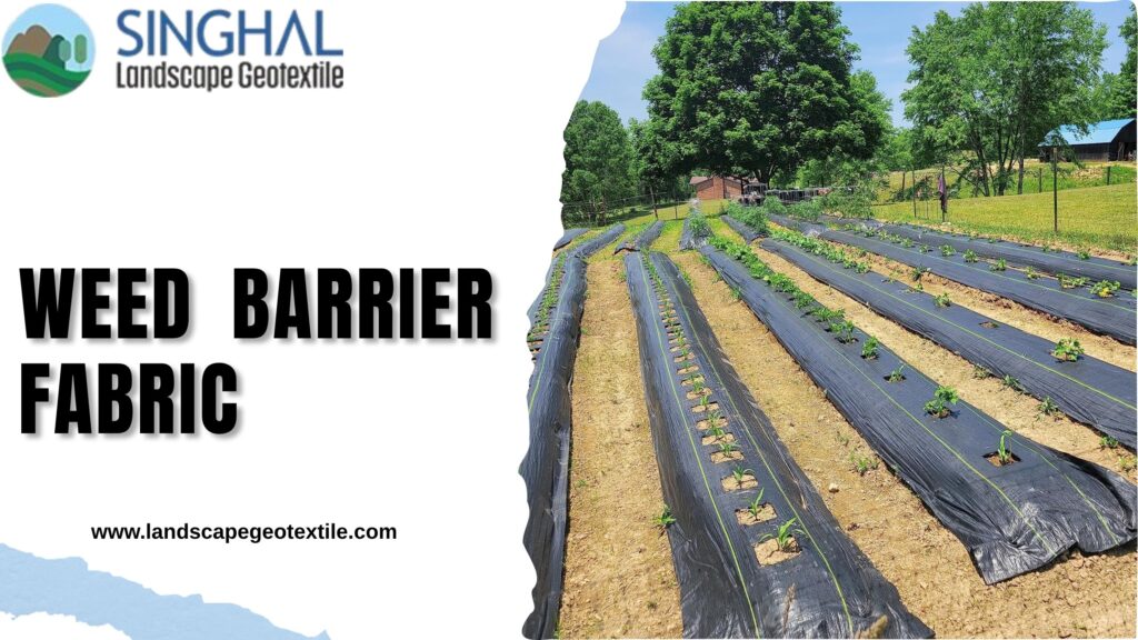 High Quality Weed Barrier Fabric for Better Soil Moisture Retention