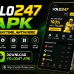 YOLO247 APK – Complete Guide for Safe Download, Features & Smart Betting