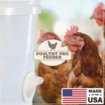 Why Is an Automatic Chicken Feeder a Summer Must-Have? ..
