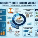 Chicory Root Inulin Market Set to Reach USD 3.87 Billion by 2036