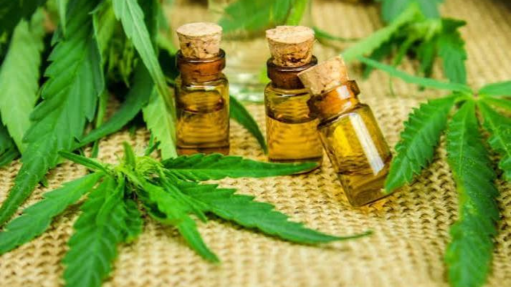 CBD oil for cancer patients in India: what you need to know