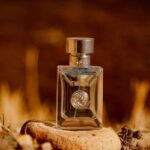 A Complete Guide to Choosing the Best Fougère Aromatic Fragrance