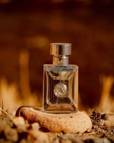 A Complete Guide to Choosing the Best Fougère Aromatic Fragrance