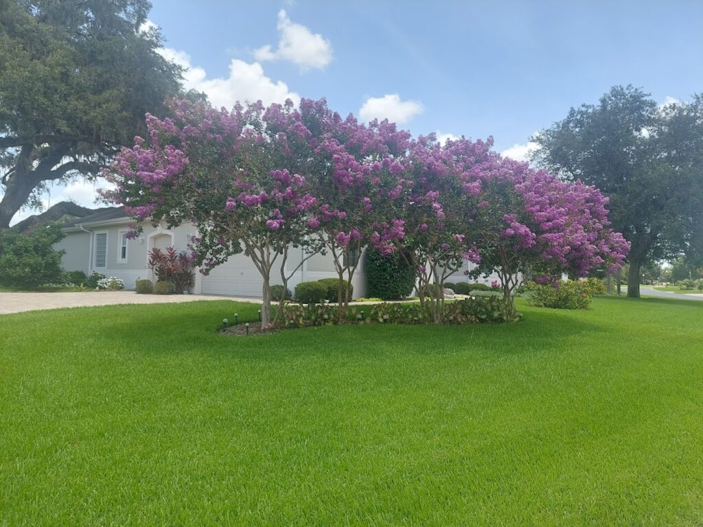 7 Reasons Homeowners Trust Lawn Care Professionals With Their Yards