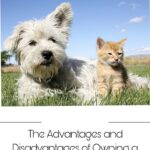 Advantages of Owning a Dog for a Healthier and Happier Life