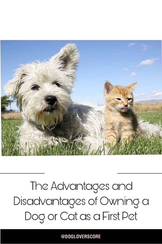 Advantages of Owning a Dog for a Healthier and Happier Life