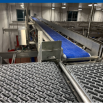 How Conveyor Systems Improve Food Safety and Efficiency