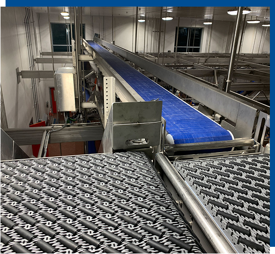 How Conveyor Systems Improve Food Safety and Efficiency
