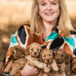 How Can the First Few Weeks Shape Goldendoodle Puppies in Ventura County for Life?